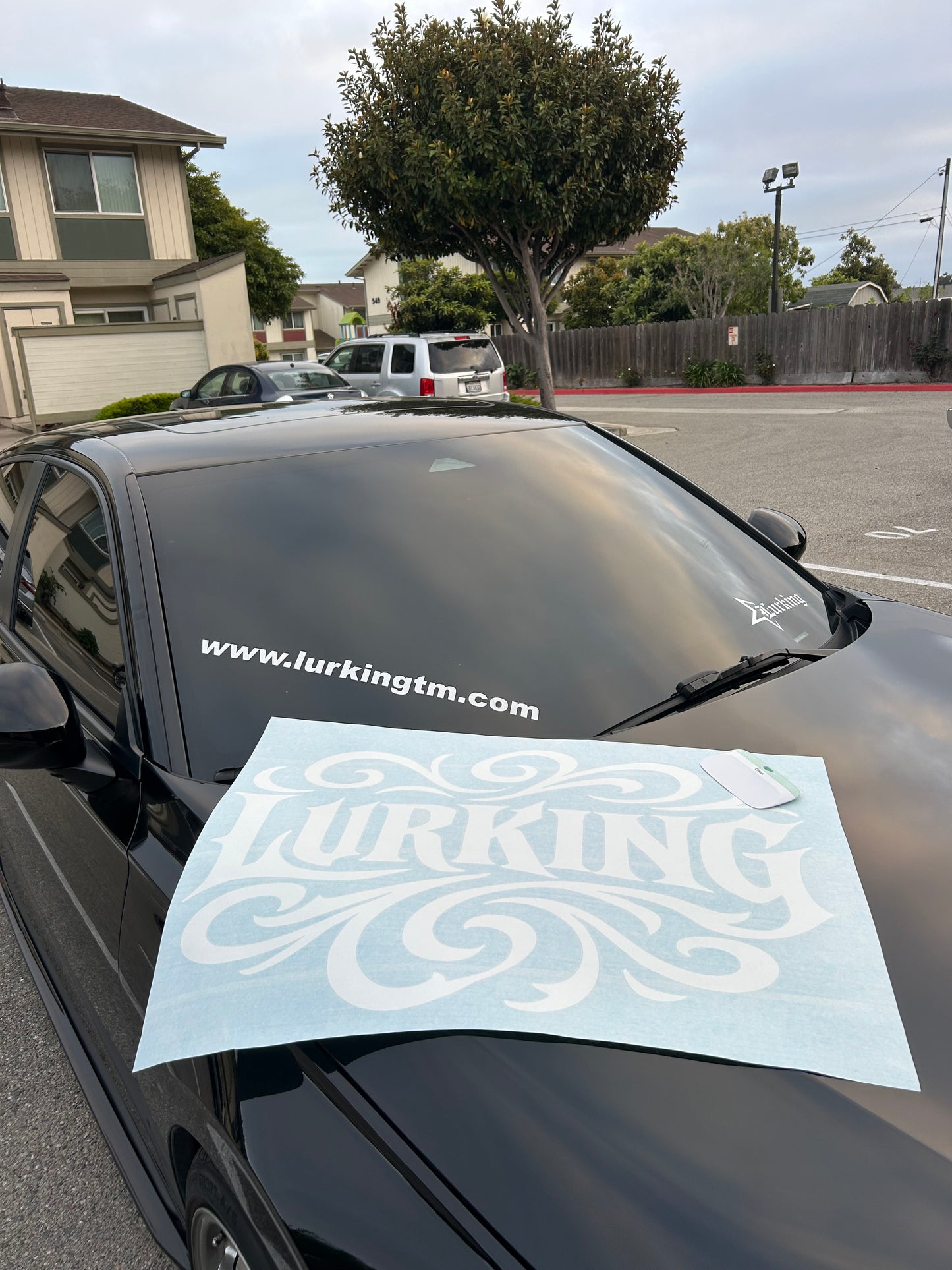 Swirl rear banner