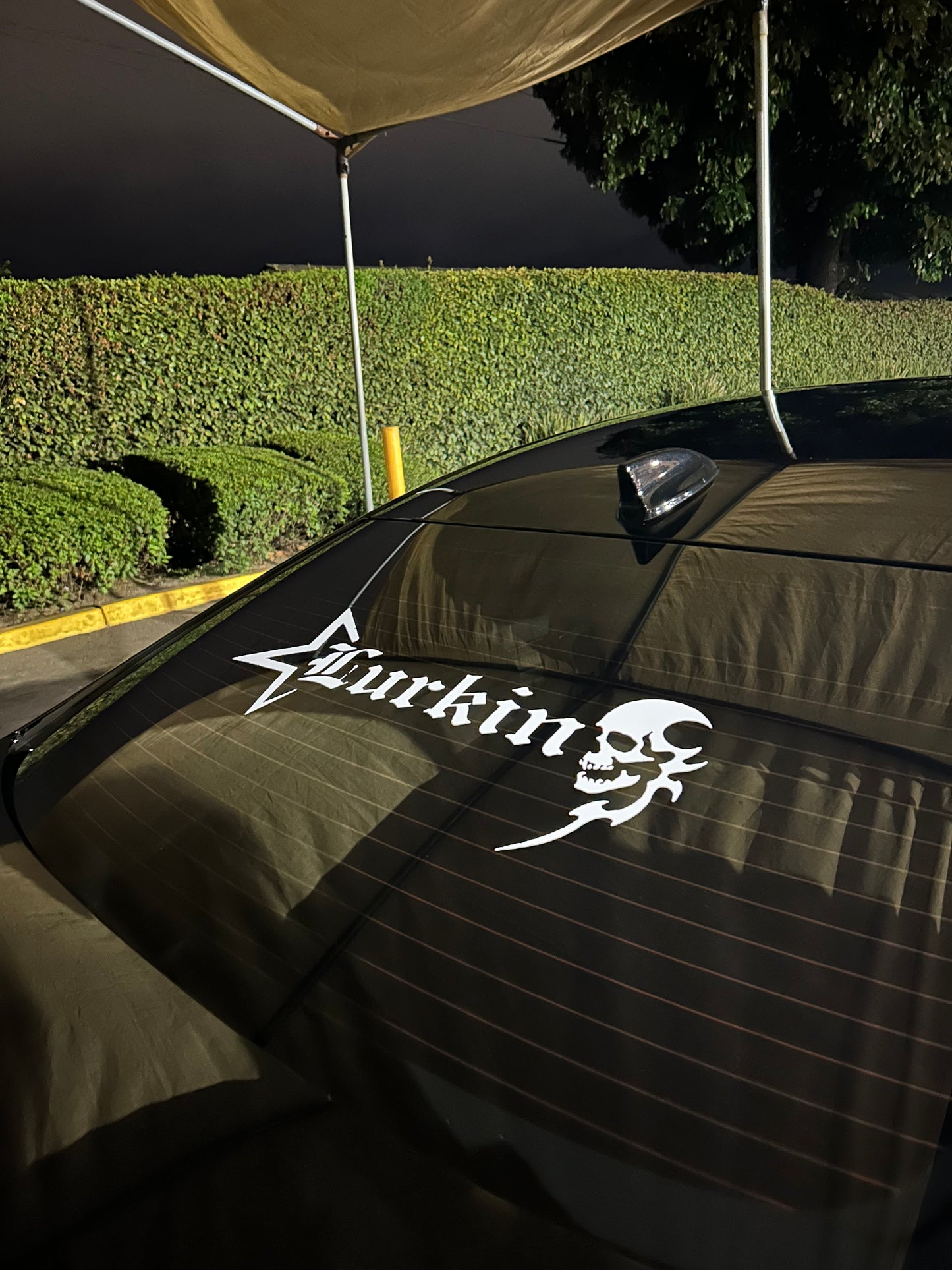 Lurking Skull Banner